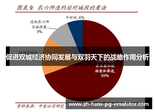 促进双城经济协同发展与双羽天下的战略作用分析 促进双城经济协同发展与双羽天下的战略作用分析