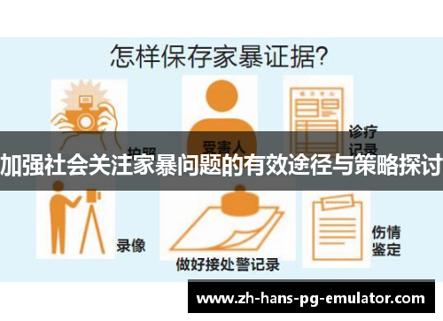 加强社会关注家暴问题的有效途径与策略探讨
