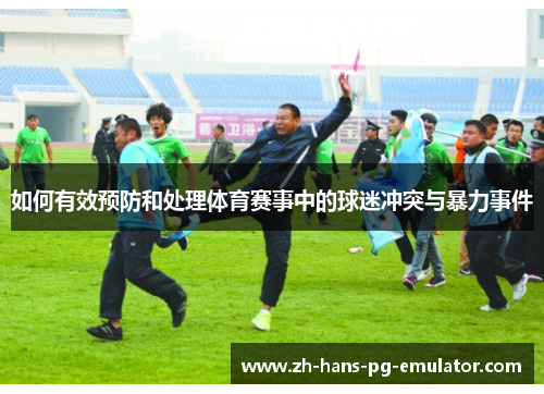 如何有效预防和处理体育赛事中的球迷冲突与暴力事件