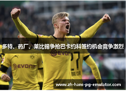 多特、药厂、莱比锡争抢巴卡约科签约机会竞争激烈