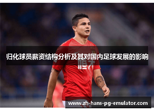 归化球员薪资结构分析及其对国内足球发展的影响 归化球员薪资结构分析及其对国内足球发展的影响