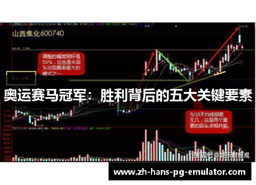 奥运赛马冠军:胜利背后的五大关键要素 奥运赛马冠军:胜利背后的五大关键要素