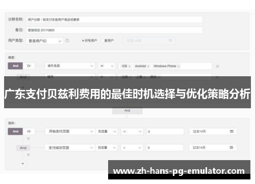 广东支付贝兹利费用的最佳时机选择与优化策略分析 广东支付贝兹利费用的最佳时机选择与优化策略分析