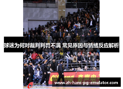 球迷为何对裁判判罚不满 常见原因与情绪反应解析