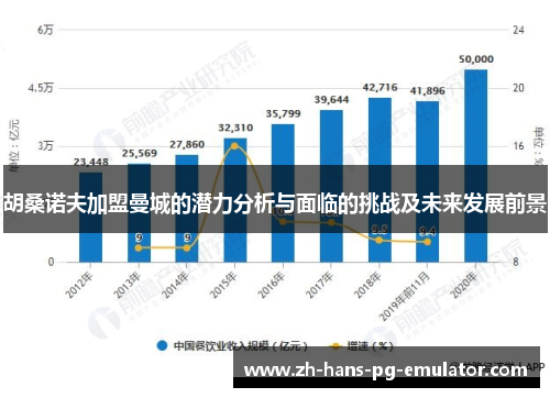 胡桑诺夫加盟曼城的潜力分析与面临的挑战及未来发展前景