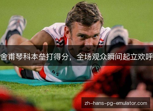 舍甫琴科本垒打得分,全场观众瞬间起立欢呼 舍甫琴科本垒打得分,全场观众瞬间起立欢呼